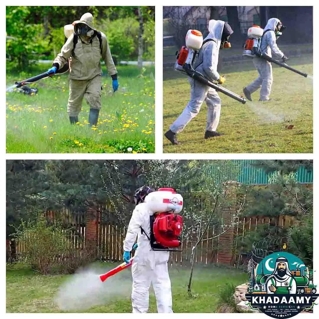 شركة مكافحة حشرات في المقطم