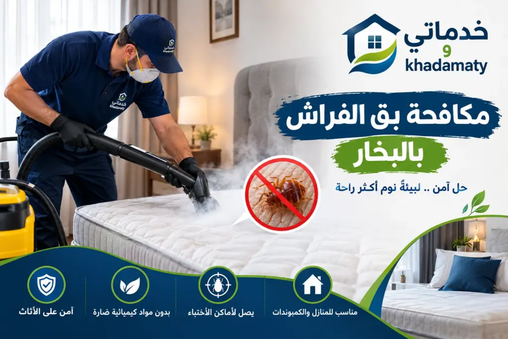 مكافحة بق الفراش بالبخار