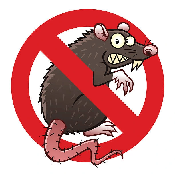 شركة مكافحة الفئران في المهندسين